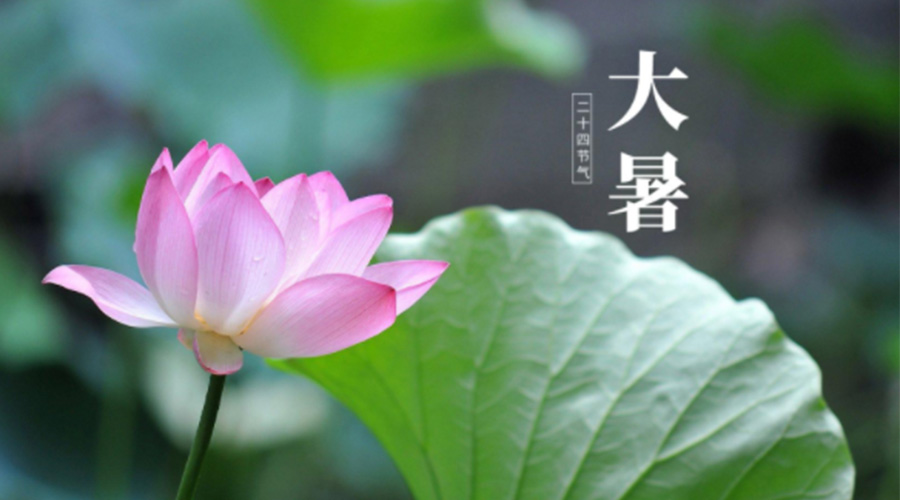 大暑時節(jié)！金環(huán)電器提醒大家注意這些干衣細節(jié)