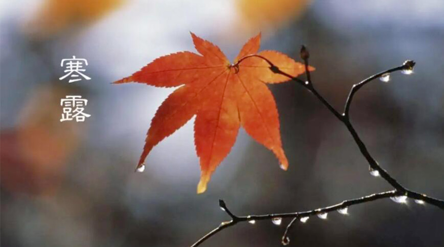 寒露時節(jié)！金環(huán)電器提醒大家要注意的事項