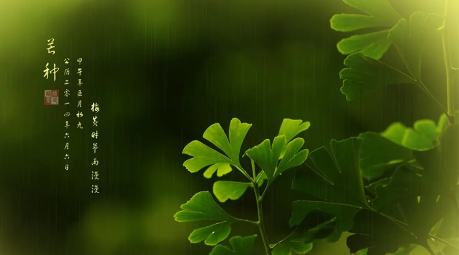 芒種時(shí)節(jié)！金環(huán)電器提醒大家的注意事項(xiàng)