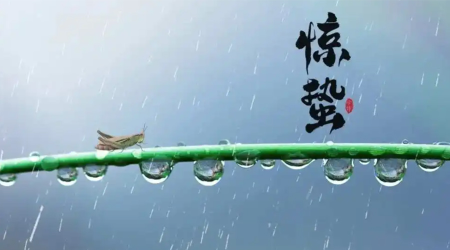 驚蟄時(shí)節(jié)！金環(huán)電器提醒大家干衣要注意這些