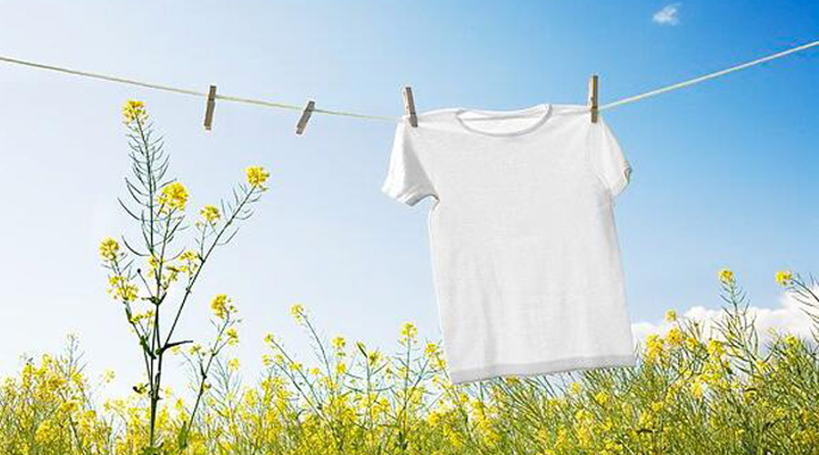 滾筒干衣機(jī)紫外線(xiàn)燈除菌對(duì)比太陽(yáng)光除菌哪個(gè)效果更好