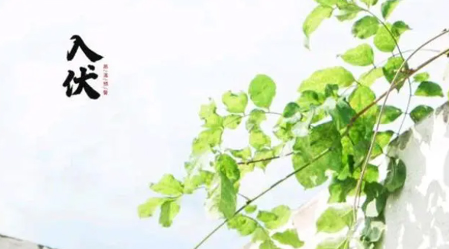 初伏時節(jié)！金環(huán)電器提醒大家要注意的事項