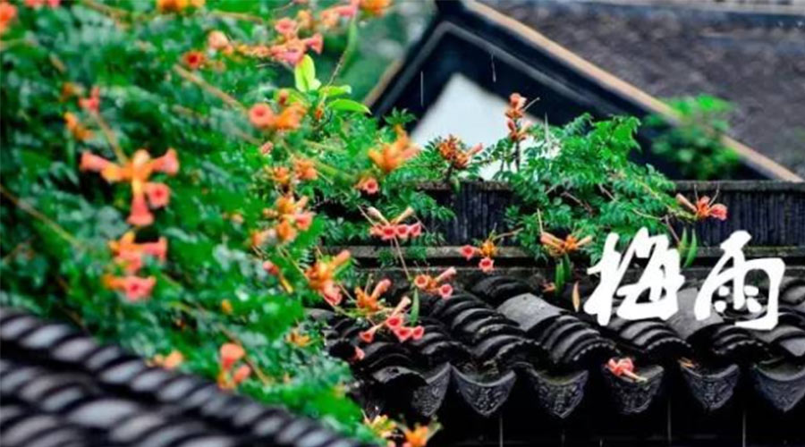 什么是梅雨？梅雨如何形成？  金環(huán)電器告訴你答案